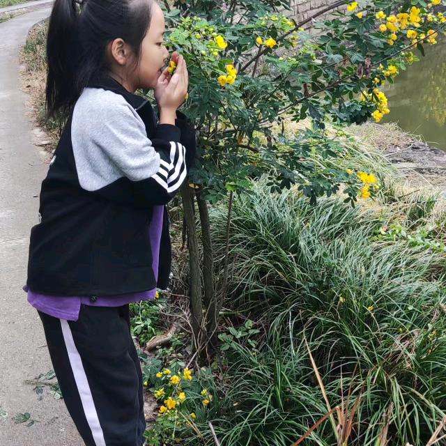 琦琦妹