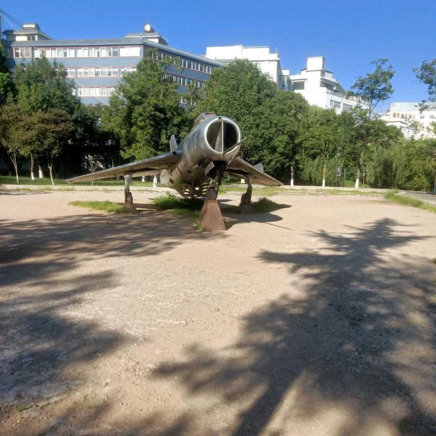 忘记从前的疼痛，不长记性