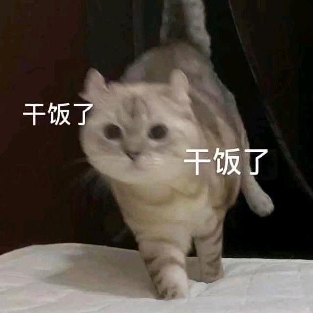 澜木子