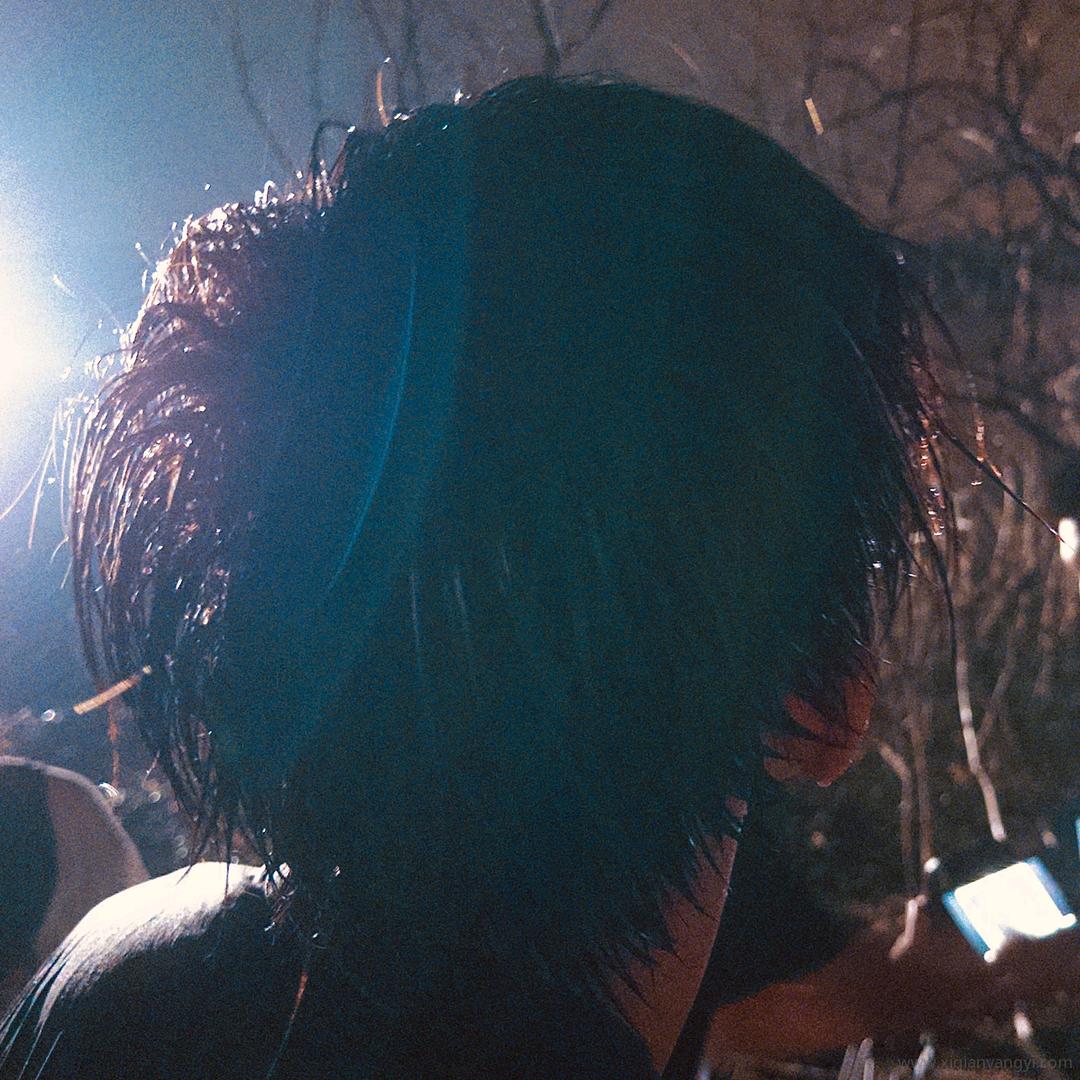 黄色白心的松子