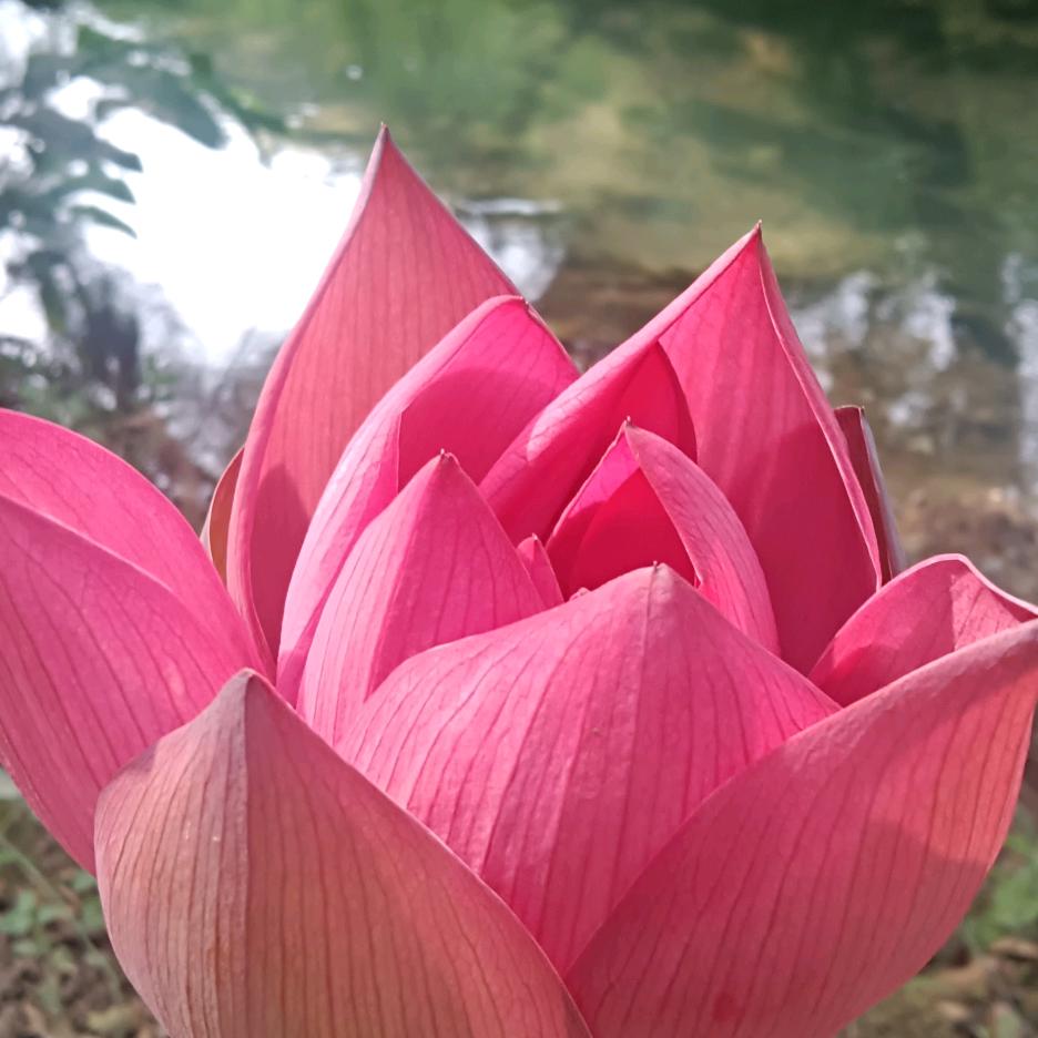 有意思