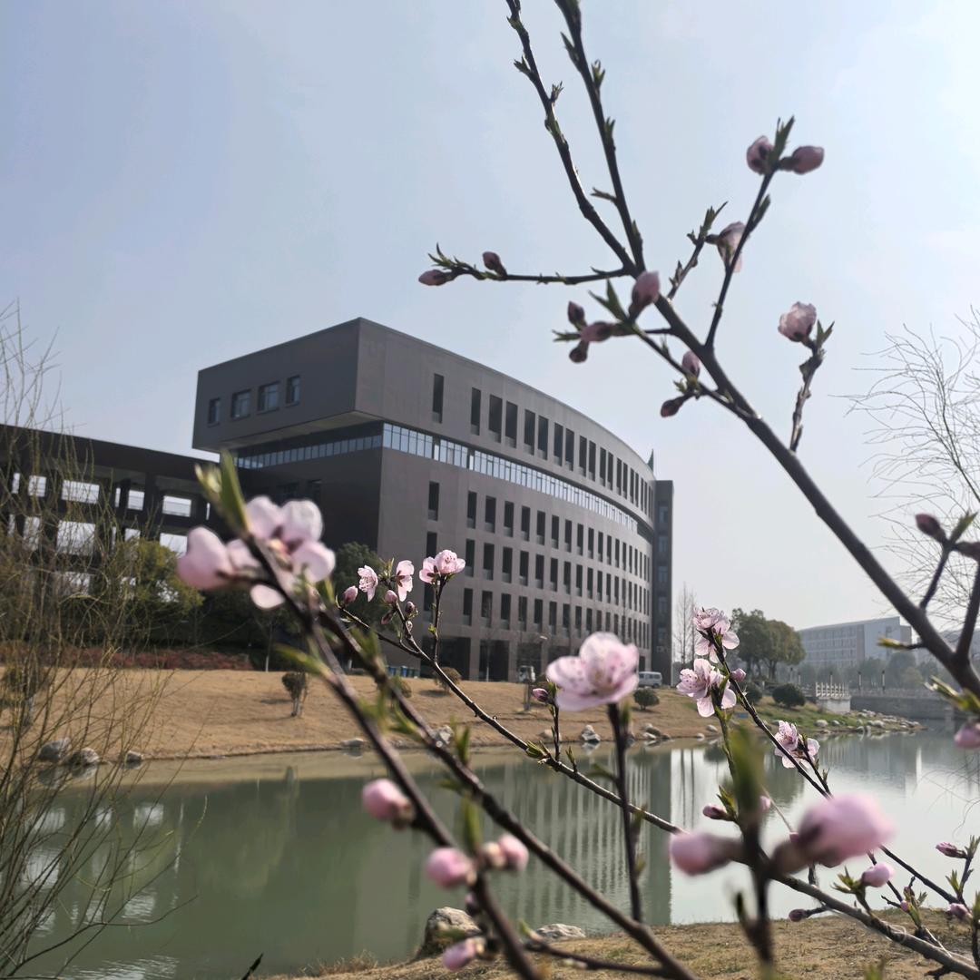 安理考研咨询李老师