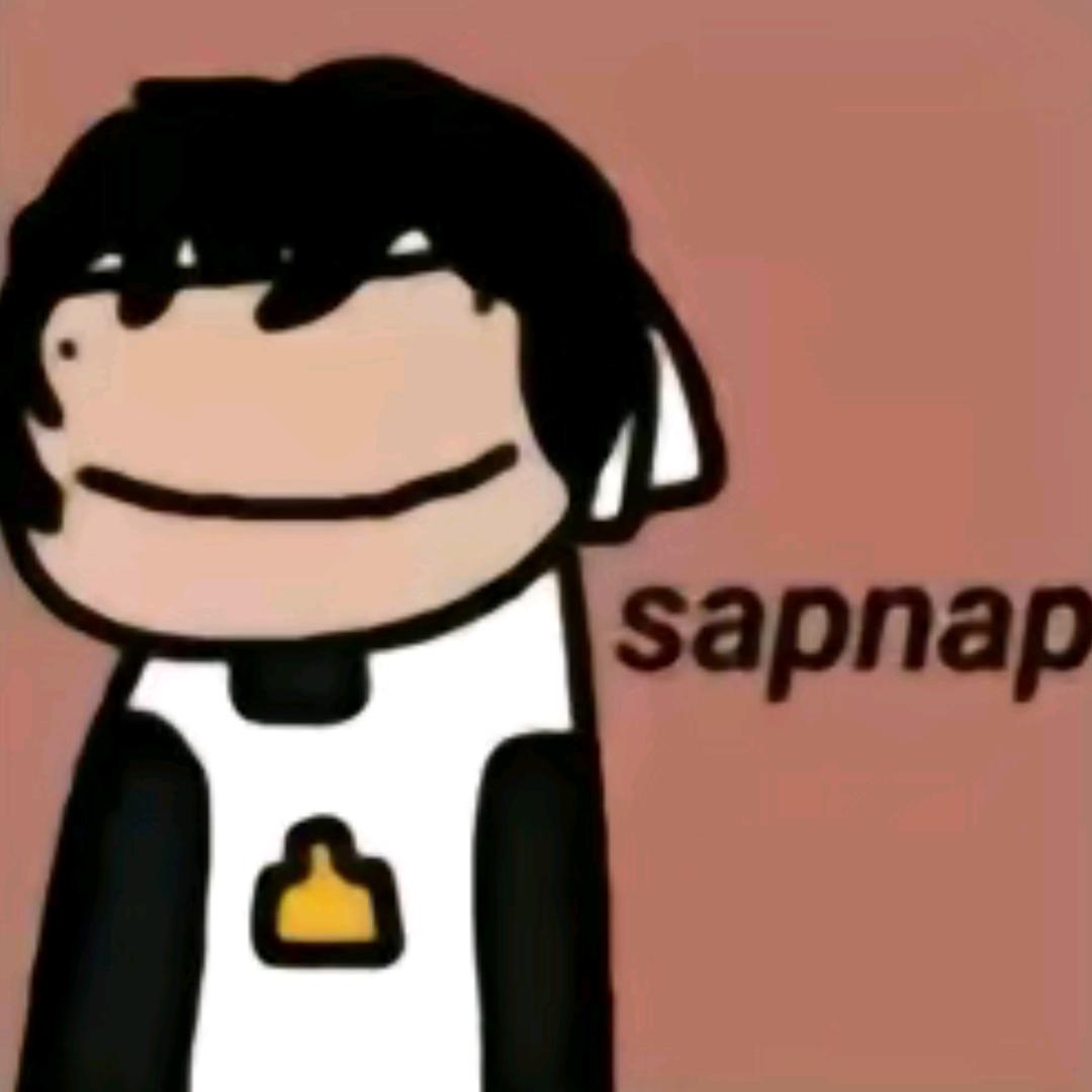 Sapnap游戏🎮