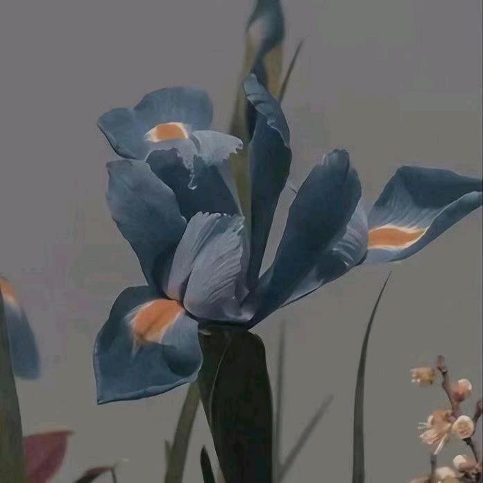 小翠花🌸