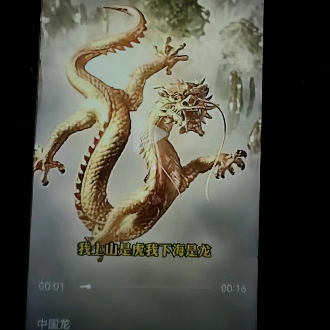 龙的传人