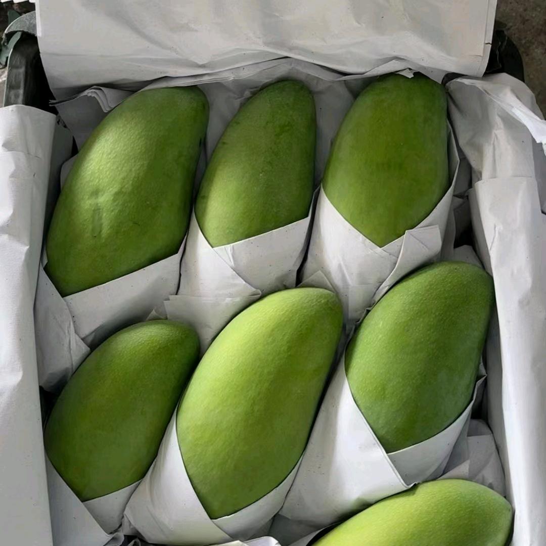 胡叔的芒果