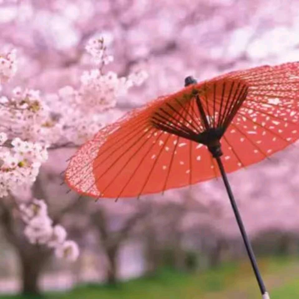 榕城古街