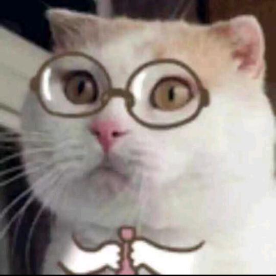 射手座