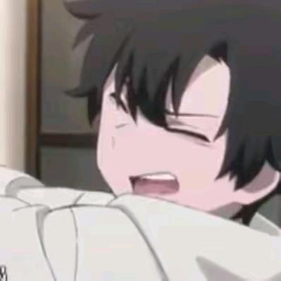 弧桉