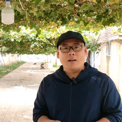 农业石敢当【老王聊葡萄】