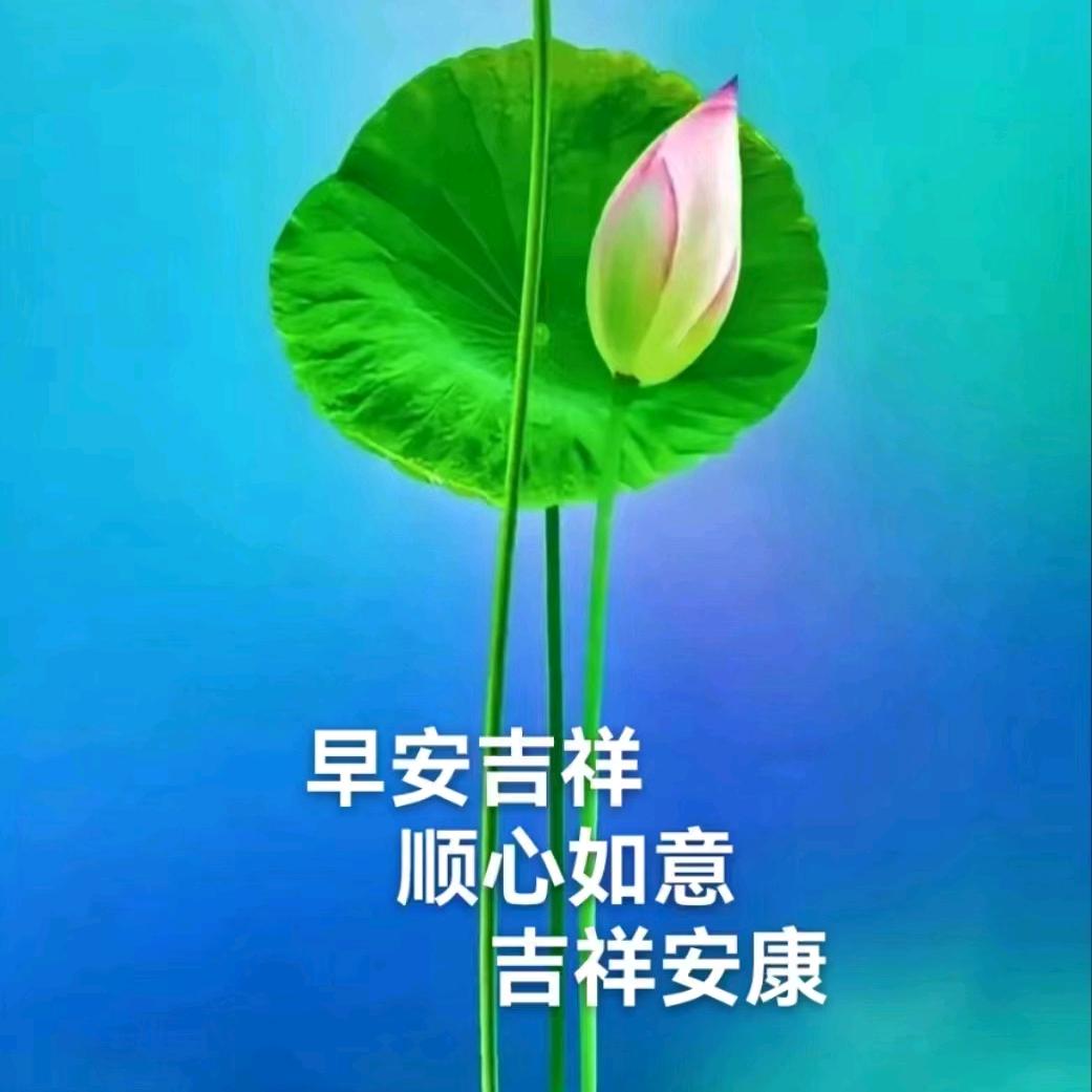 大象哥哥
