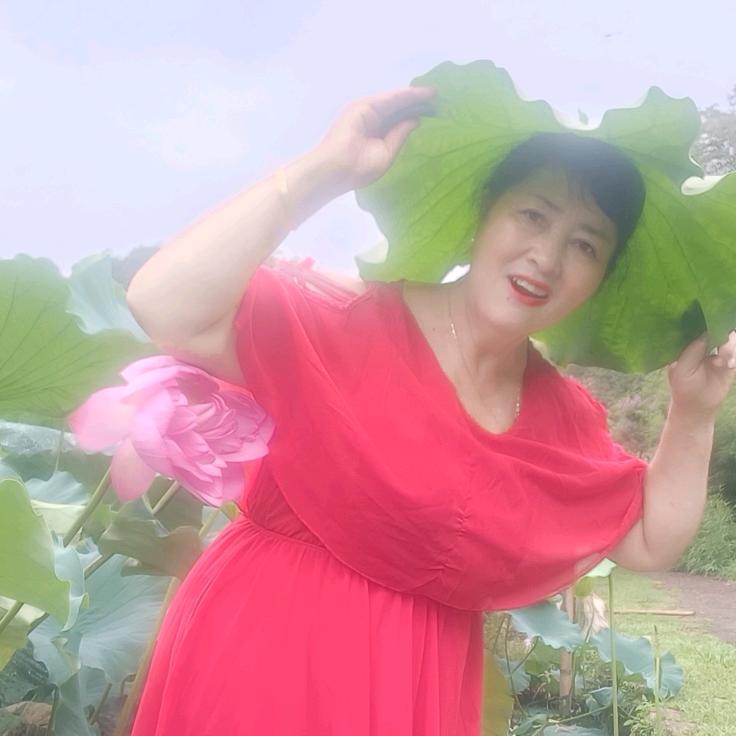郑姐