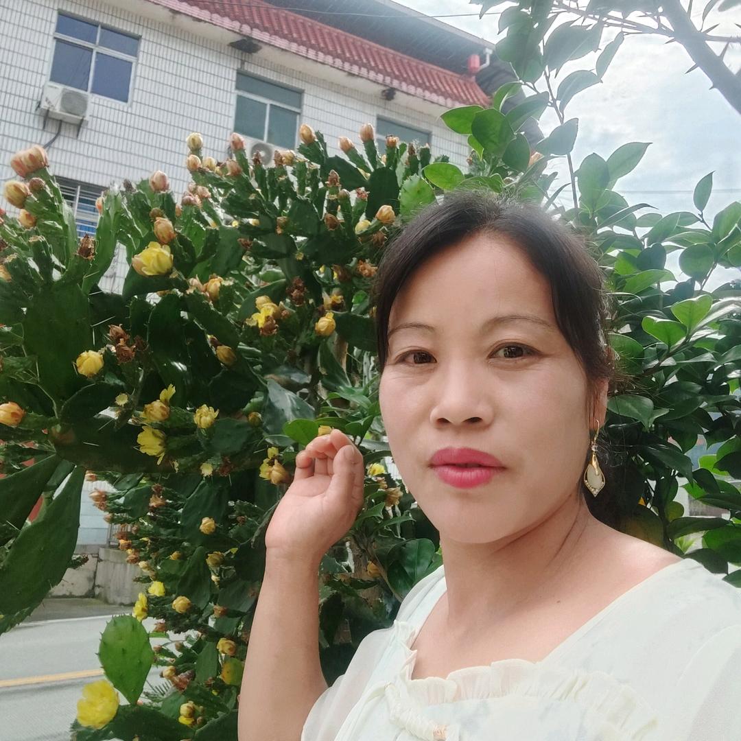 梦中有你