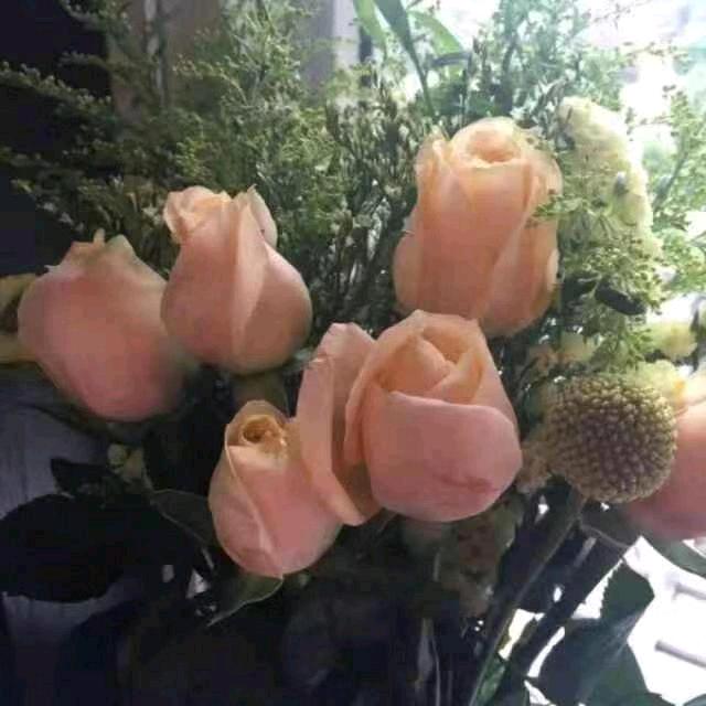 焱🎈