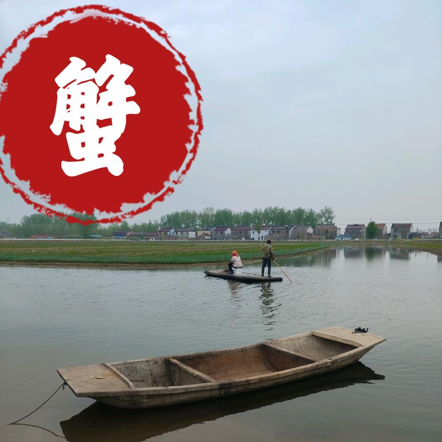 高邮/宝应水产养殖☞唐工