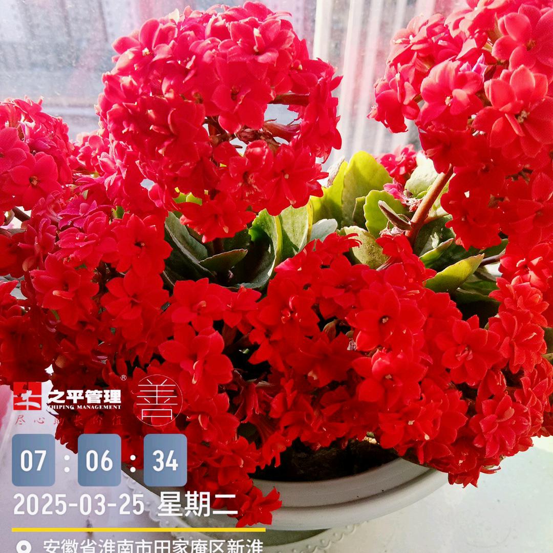 拼搏