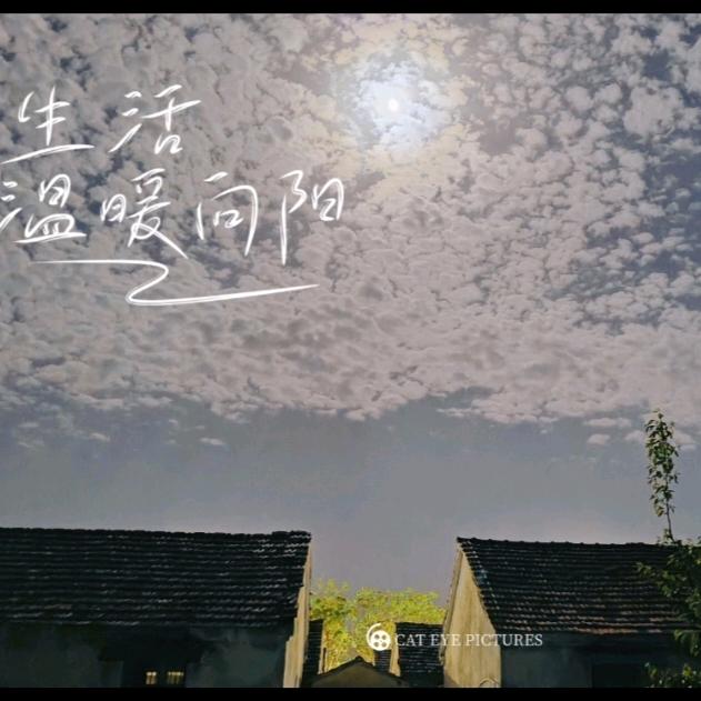 🇨🇳老陆不是空军