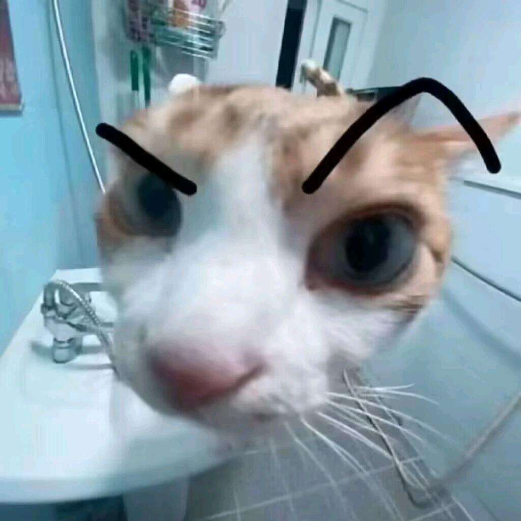 南汐
