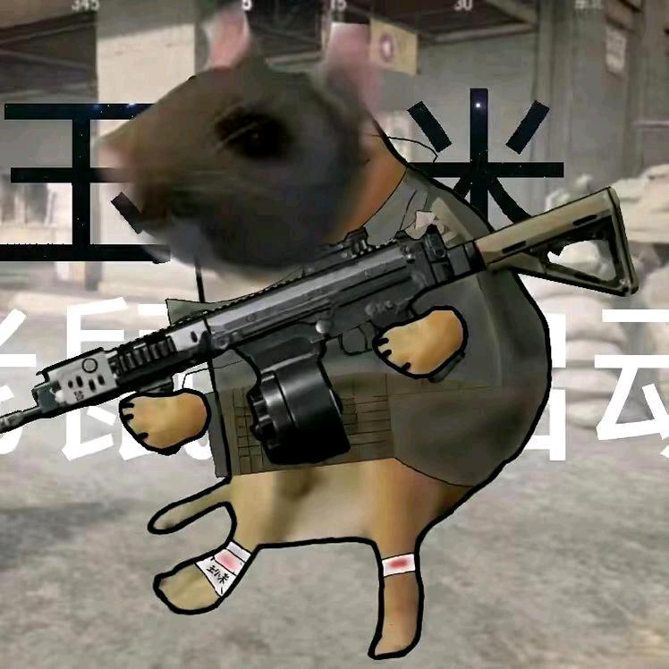 玉小米MC君子