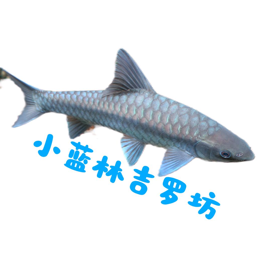 蓝林吉罗坊