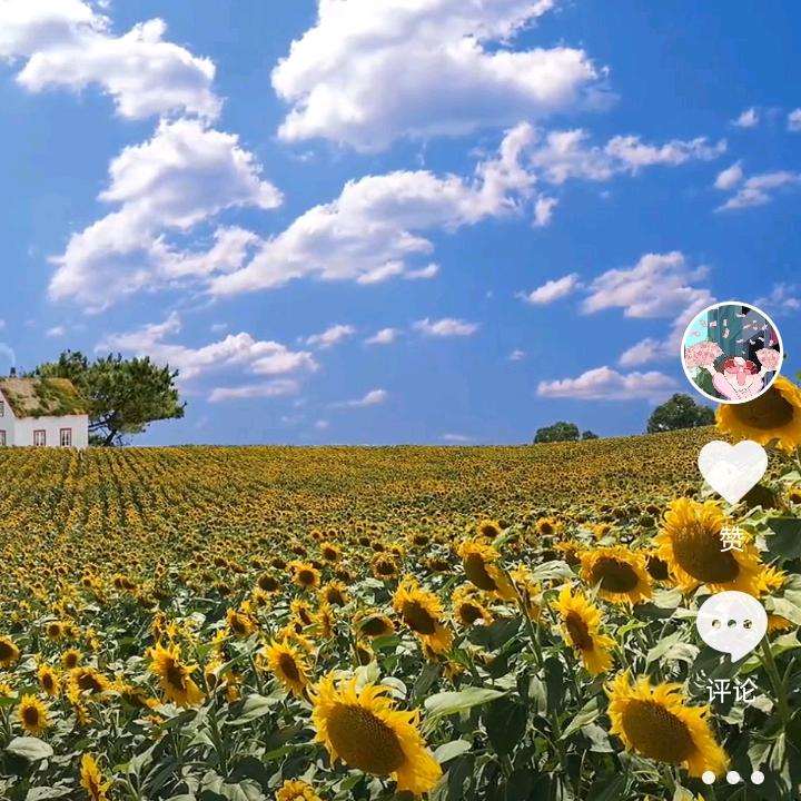 MrS,lⅰmⅰn🌹🌸🌷🌵🌺