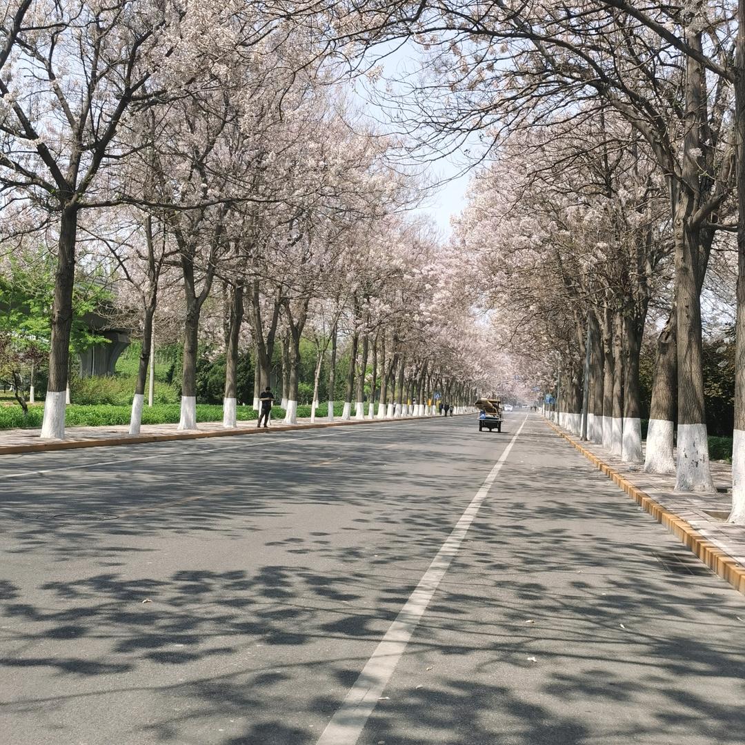 路越走越宽