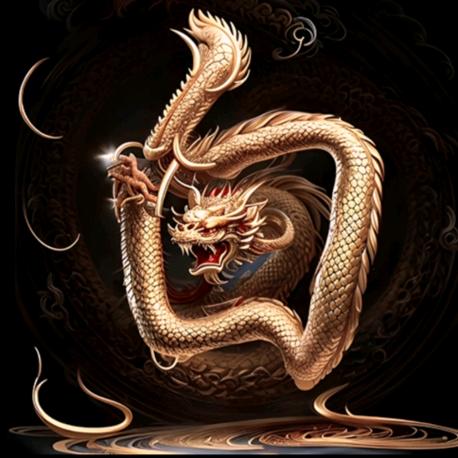 孤独的老虎(手机摄影)
