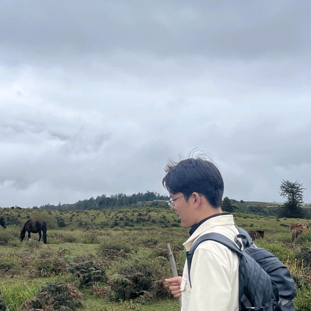 AsiaHorse