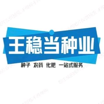 沙湖王稳当种业