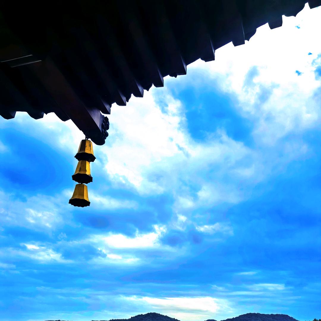 依依酒笑