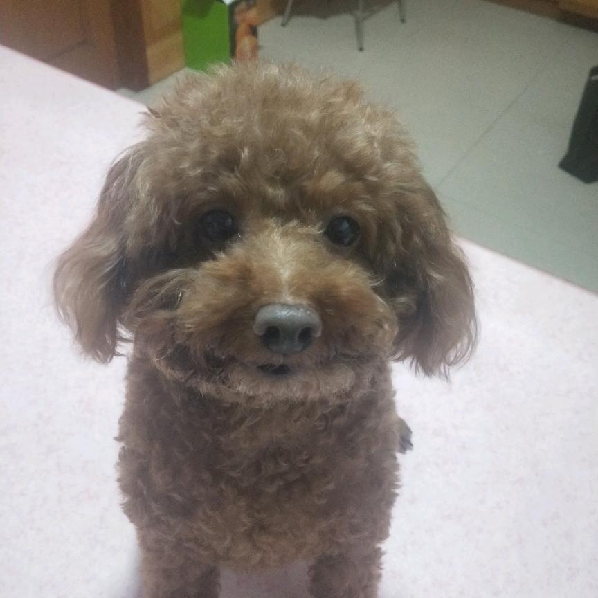 福中华