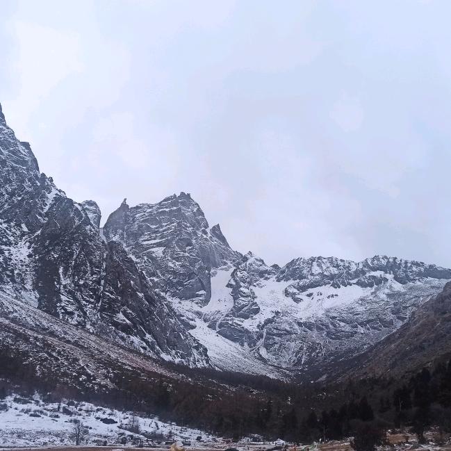 木糖醇⁸⁰⁰⁸