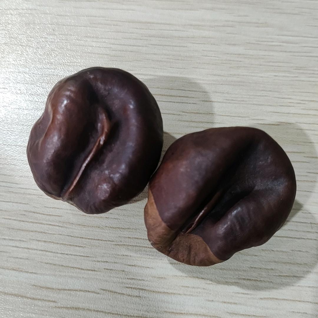 冷月孤鹰