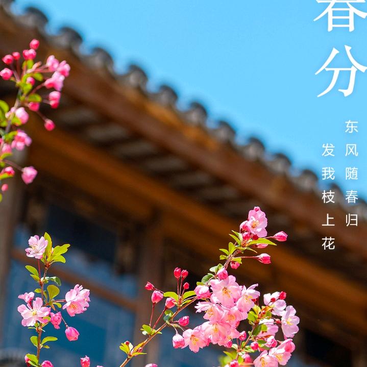 月圆花好