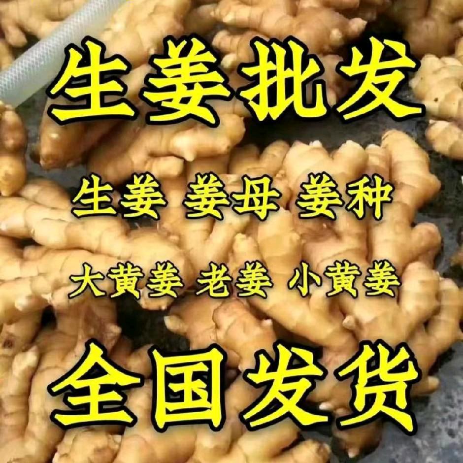 山东果蔬购销中心