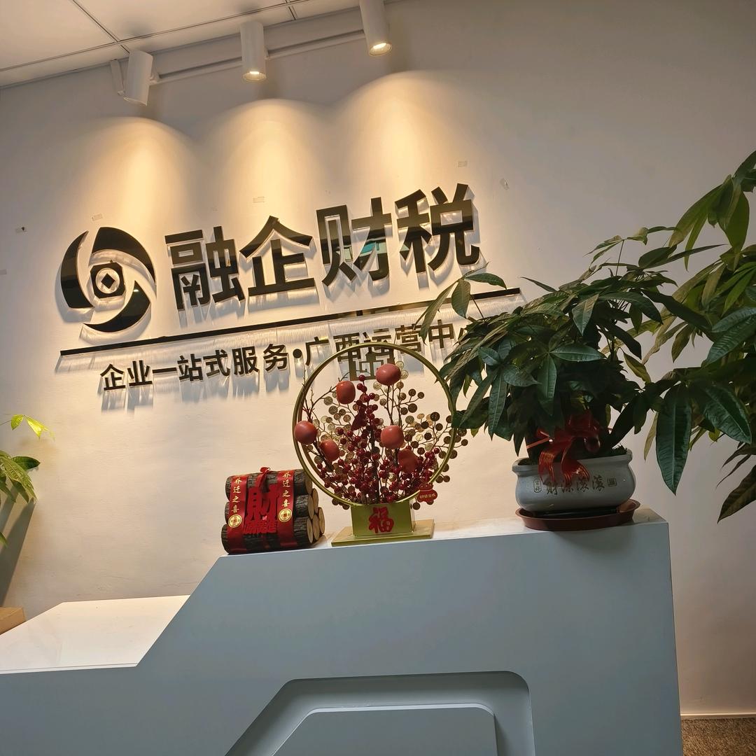 广西融企财税有限公司
