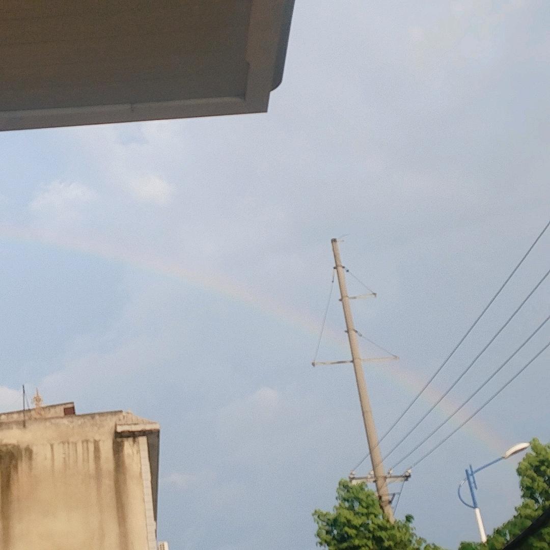 爱吃鱼的小布丁