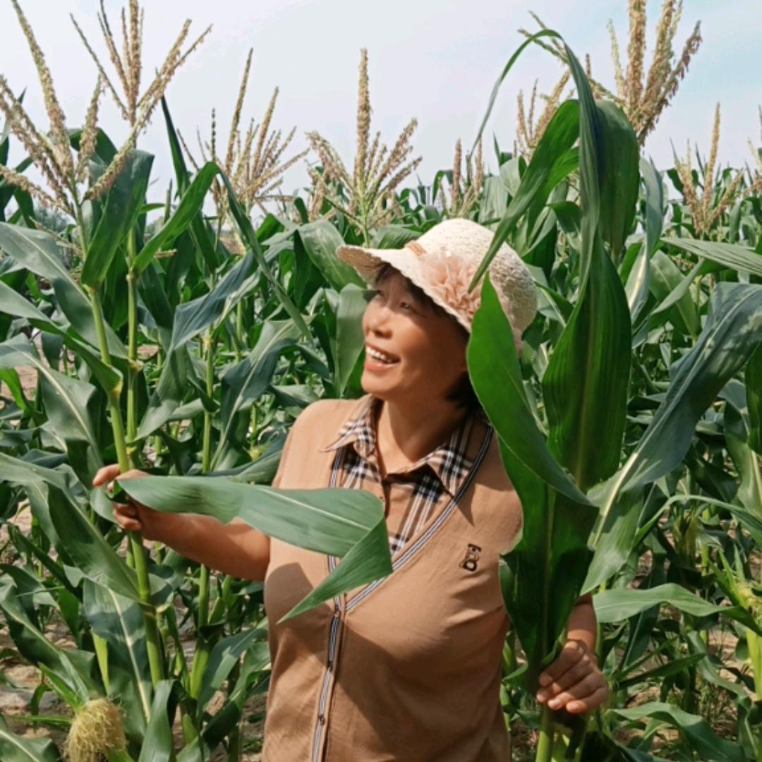 大旗嫂子