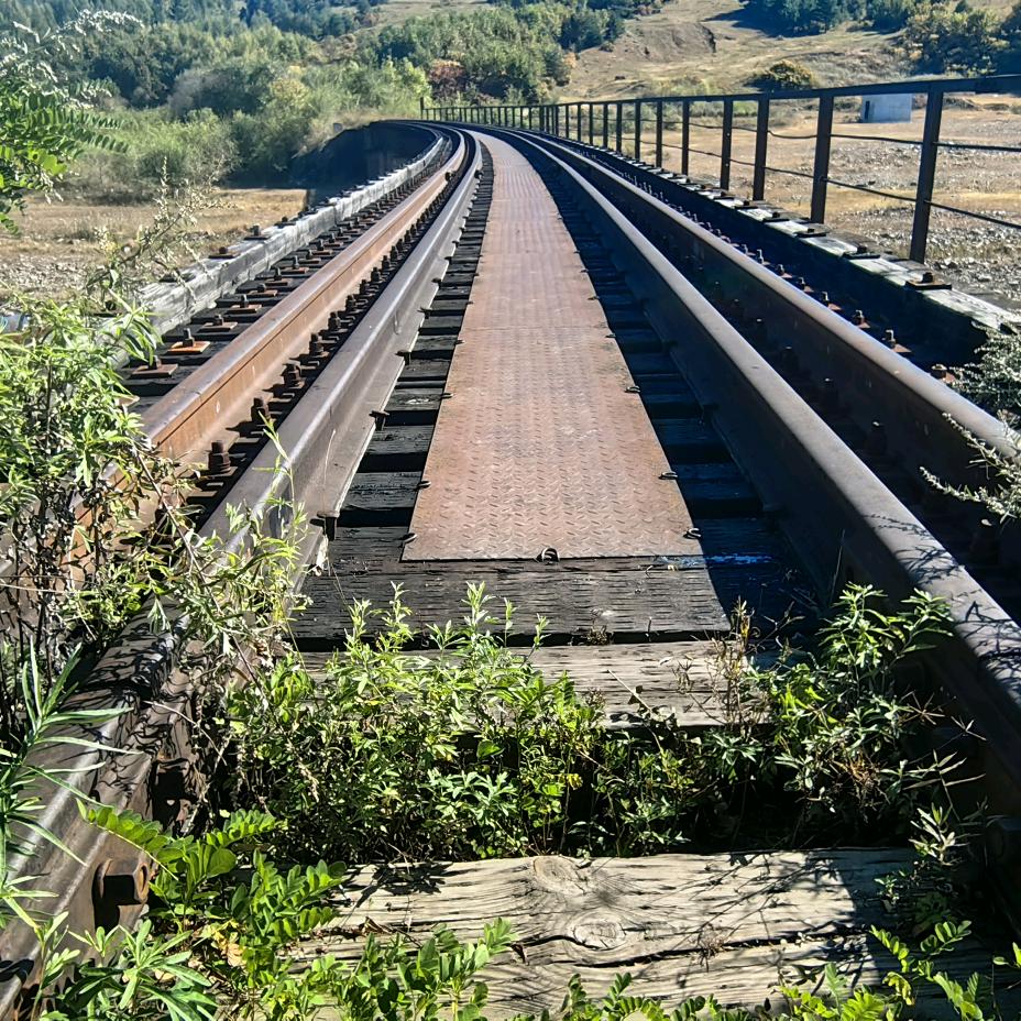 🌸🌸🌸🌸🌸花