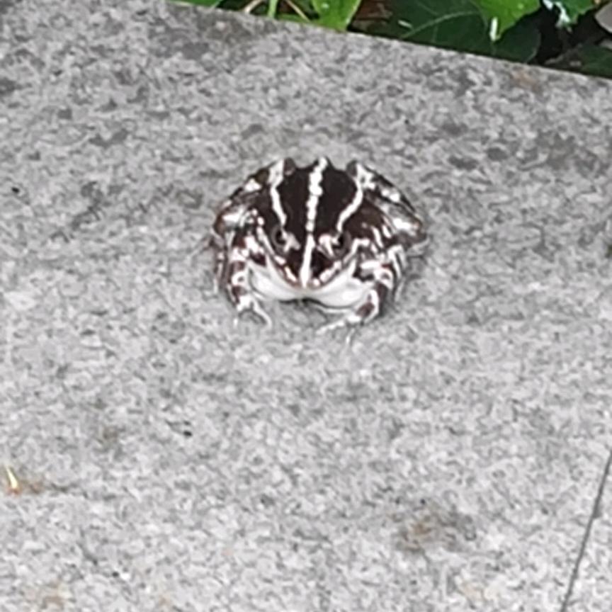 青山依旧在几度夕阳红