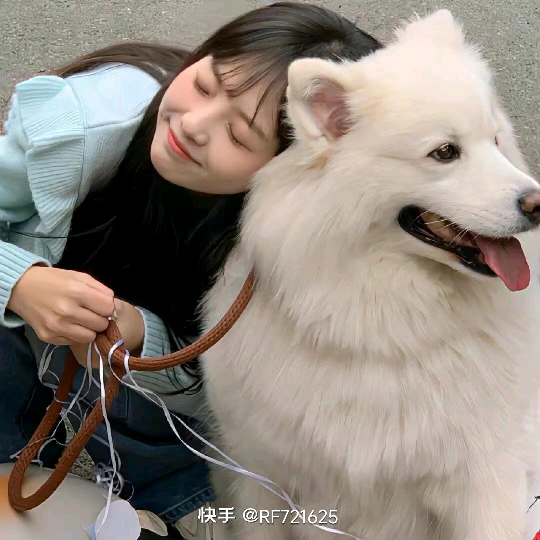 仓鼠宝宝