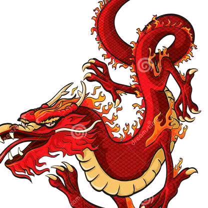 小杨户外