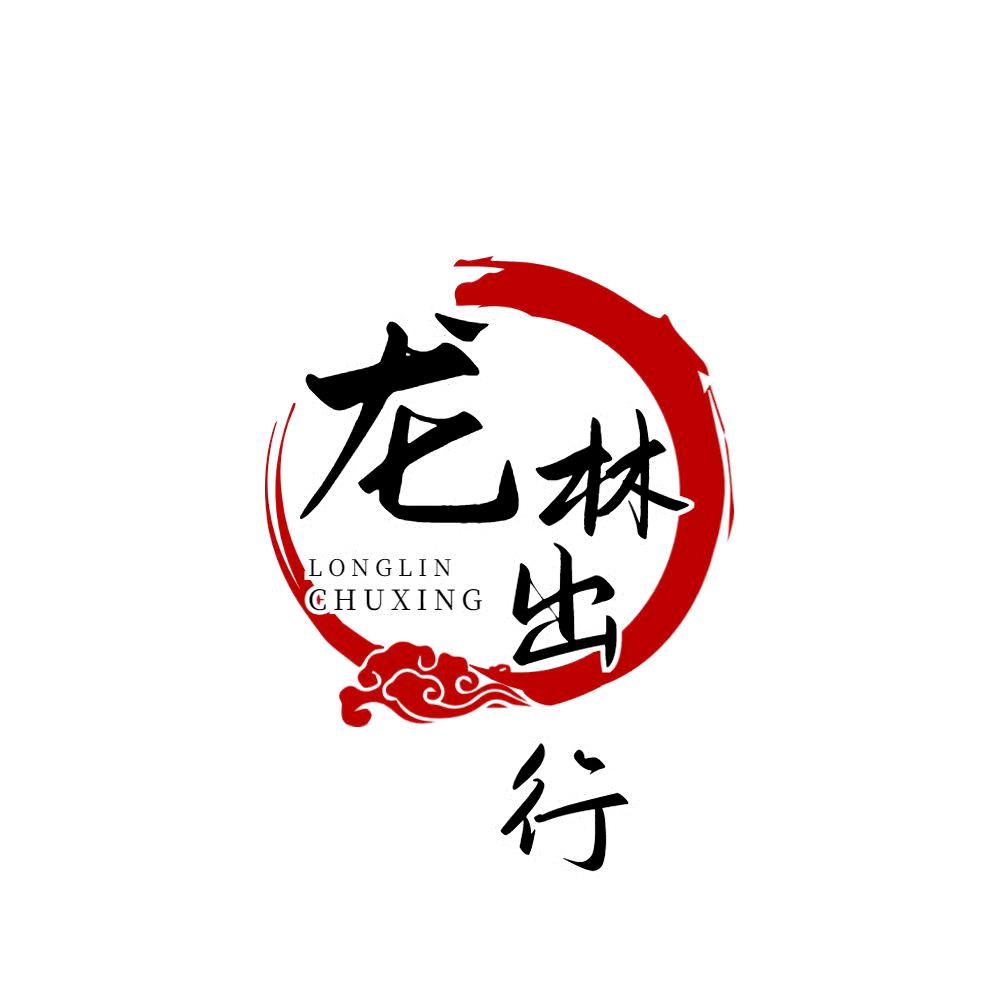 龙林出行九堡十店