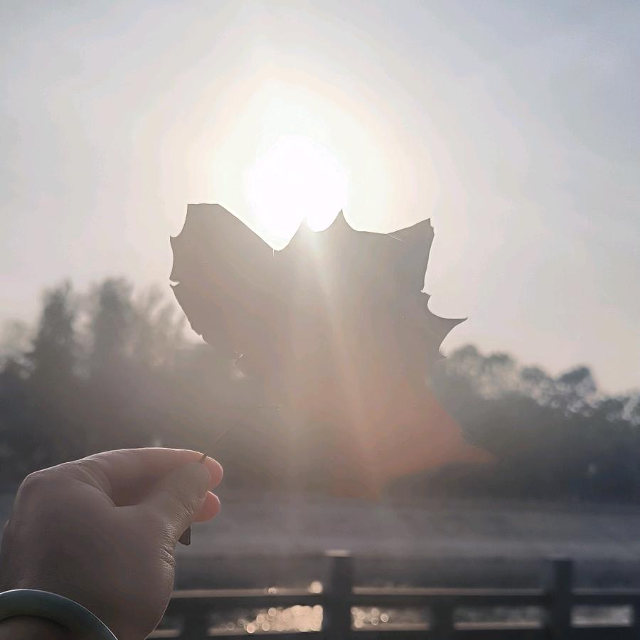 小陆！