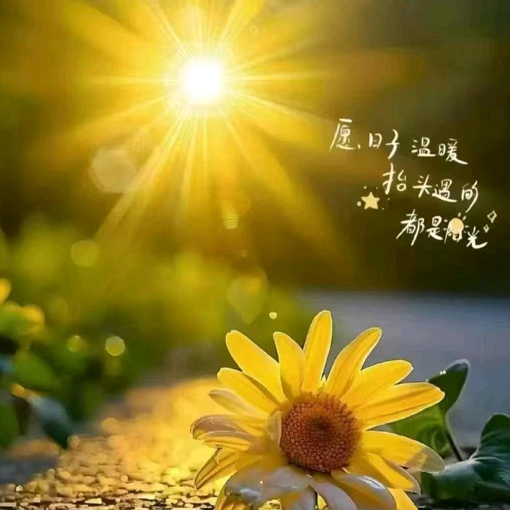 岁月如歌😃😃