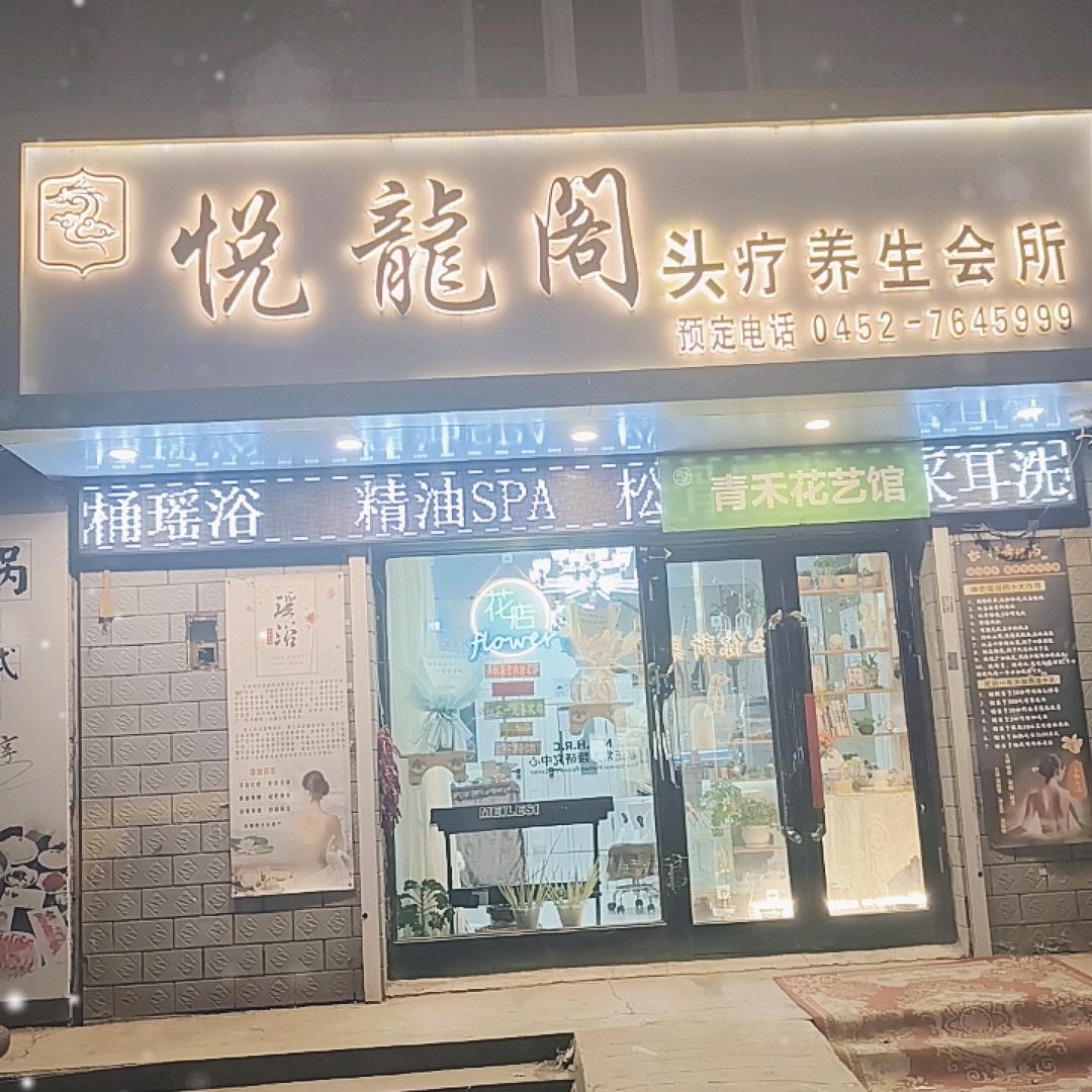 悦龙阁头疗养生会所