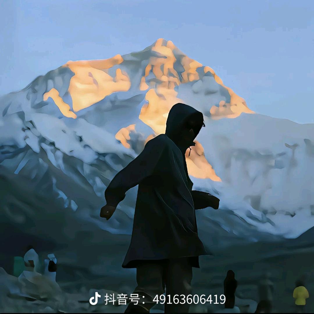 随遇波波