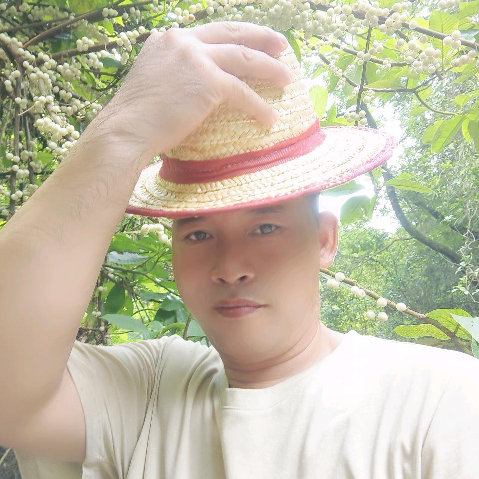哥在飞