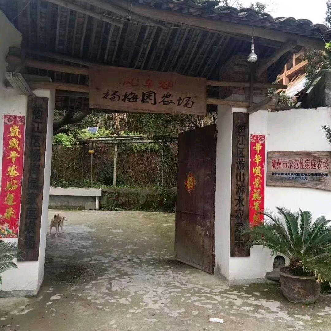 小妹杨梅园家庭农场