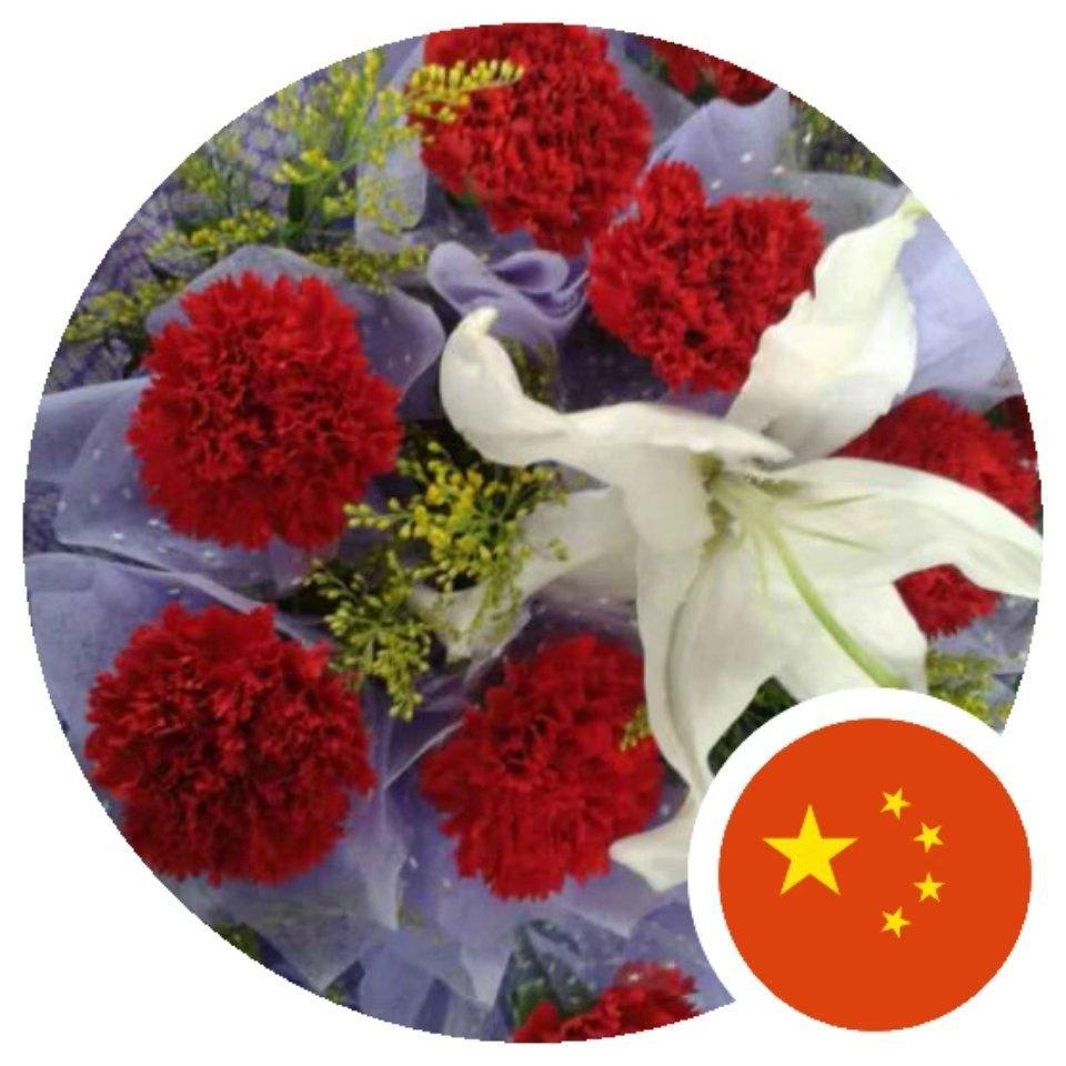 梅花香自苦寒来